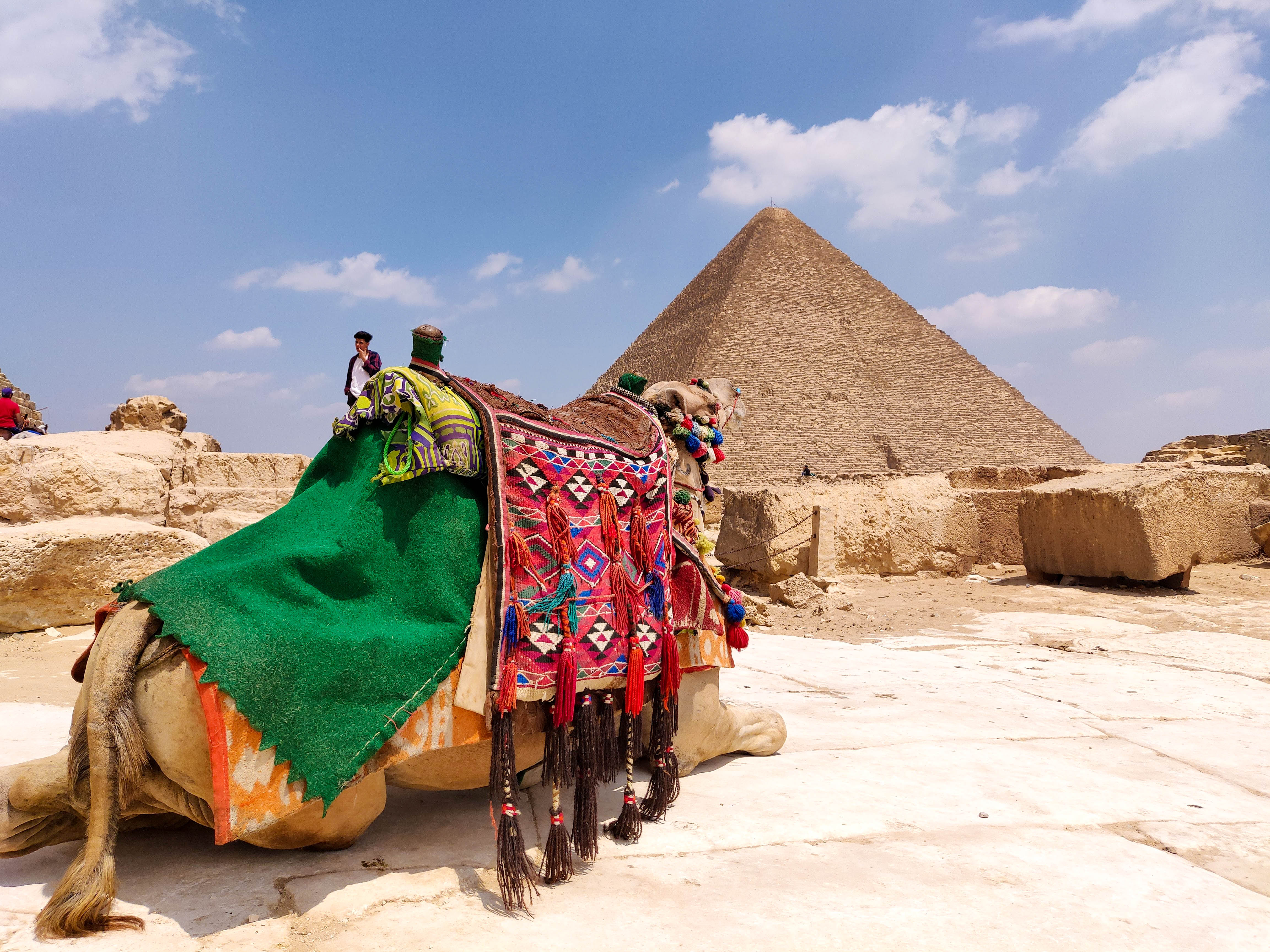 Єгипет піраміди верблюд