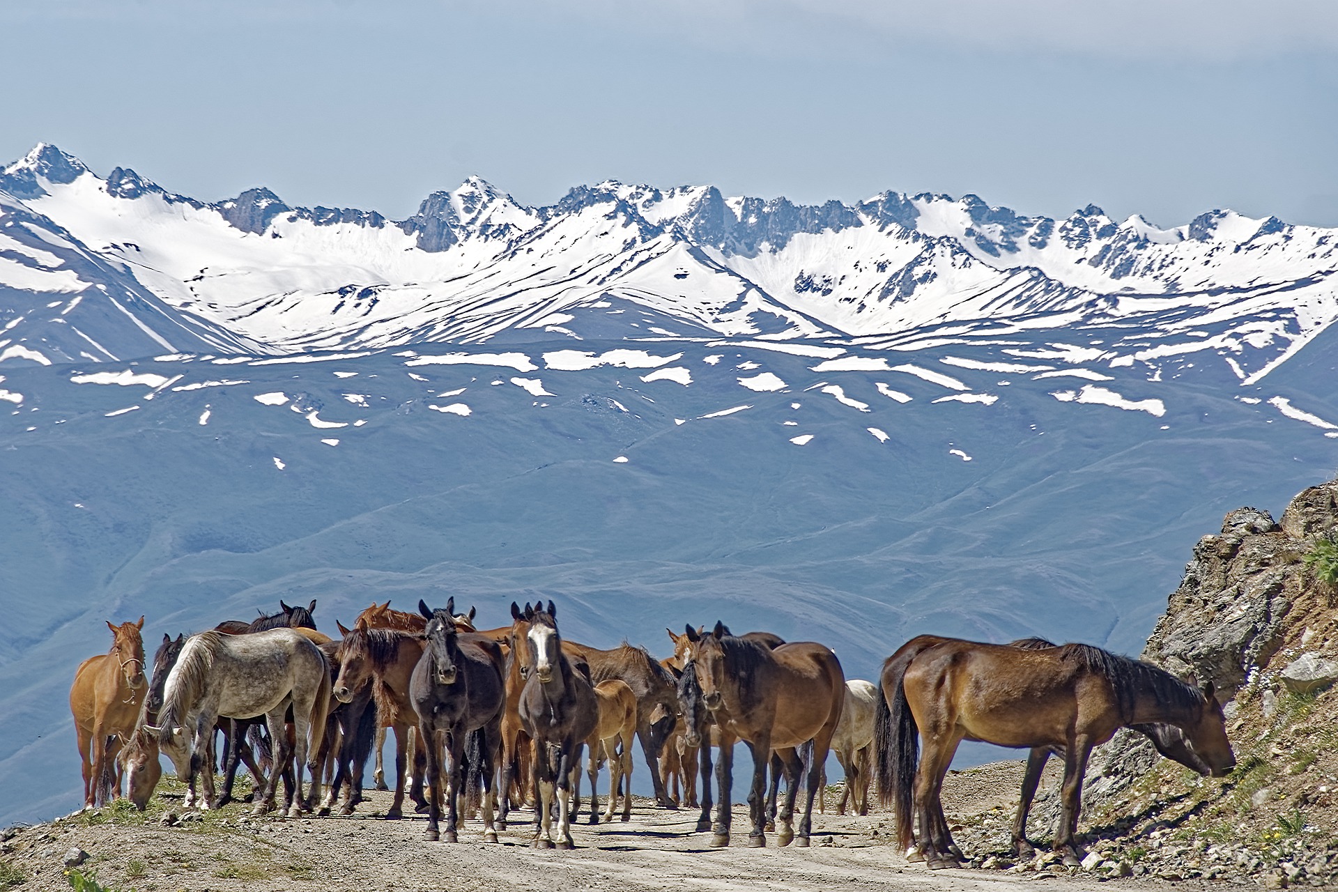 Киргизы страна. Тянь Шань природа Кыргызстан. Тянь-Шань лошади Киргизии. Киргизия горы Тянь-Шань. Киргизия и Кыргызстан.